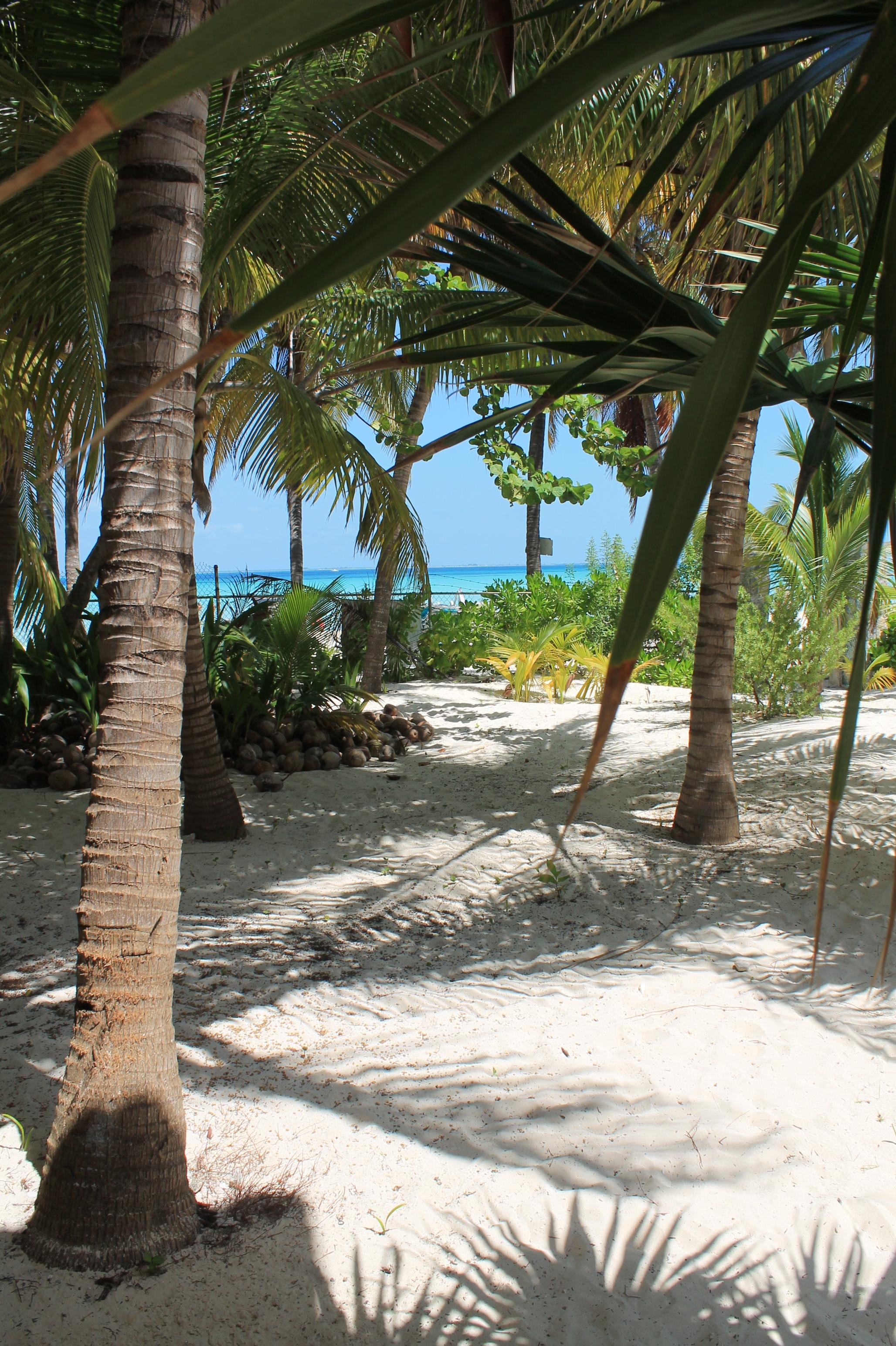 Cabanas Maria Del Mar Hotel Isla Mujeres Bagian luar foto